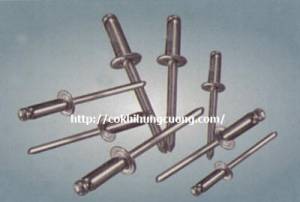 Đinh rút inox
